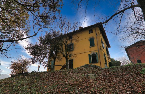 Vendita Casale Zona tranquilla Castelvetro di Modena Emilia-Romagna